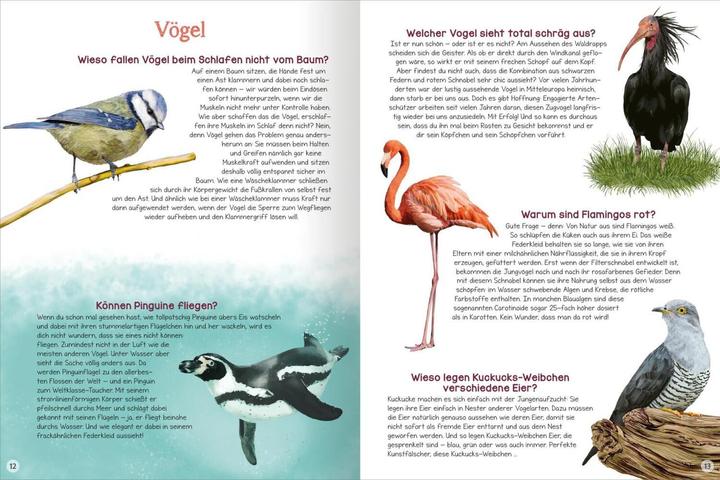 Immagine prodotto Was willst du wissen? Das grosse Fragen- und Antwortenbuch – Tiere (Tedesco, Angelika Huber-Janisch, Kristine Ortmeier, 2023)