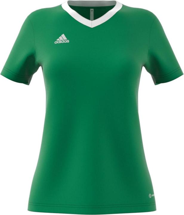 Actual product image adidas Entrada 22 Women's Football Shirt (XS)