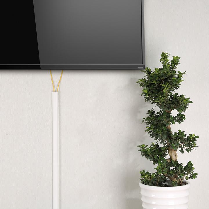 Immagine prodotto Roline Canalina per cavi (Tubazione, 110 cm)