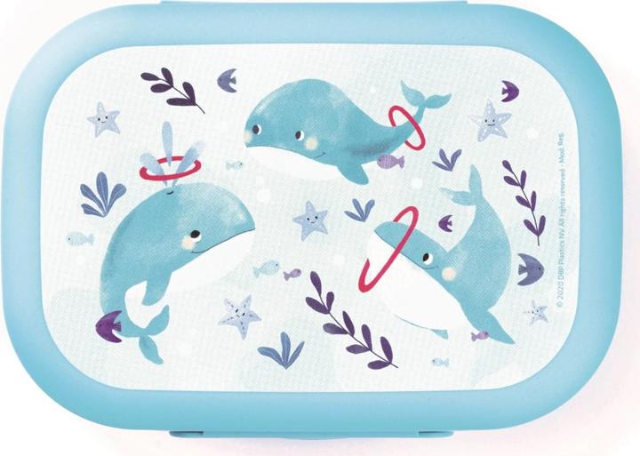 Actual product image Amuse Lunchbox Sealife