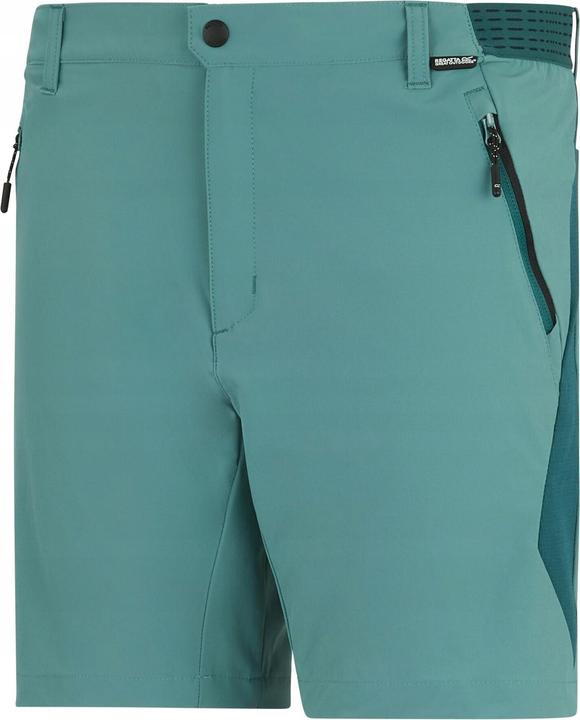 Produktbild Regatta Mountain Shorts (44)