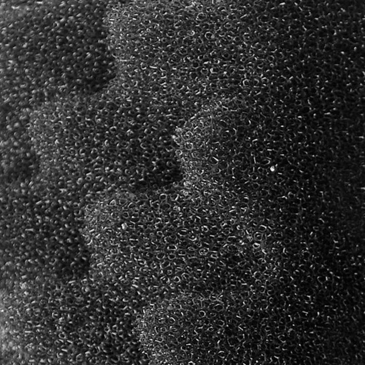 Productafbeelding Fluval Bio schuimpatronen 306 406 2 stuks (Intern filter, Zoet water)