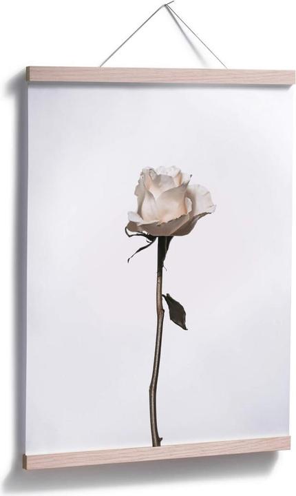 Image du produit Trenddeko Die weisse Rose (30 x 40 cm)