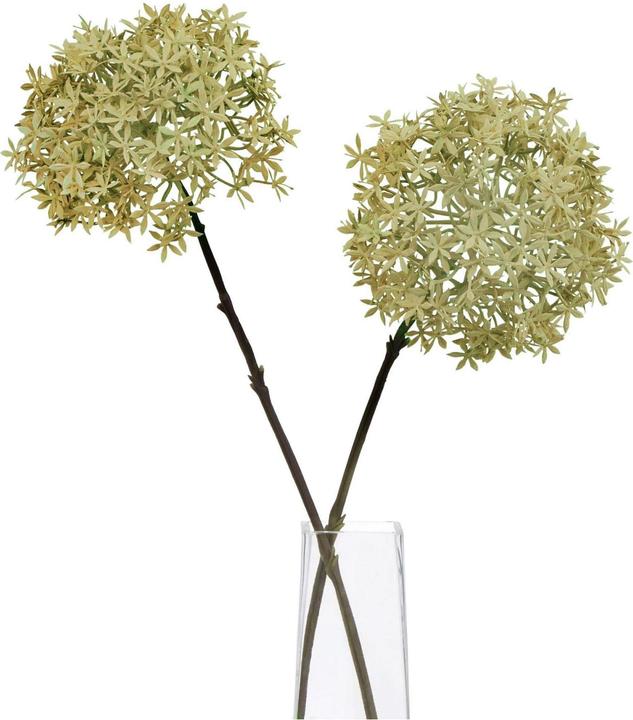 Actual product image Hill Interiors Allium Stem Artificial Flower (63 cm)