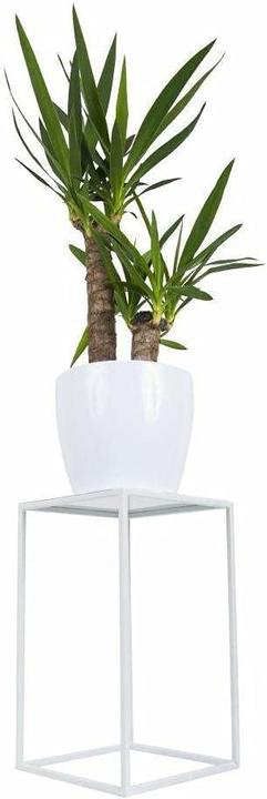 Image du produit HowHomely Blumenständer