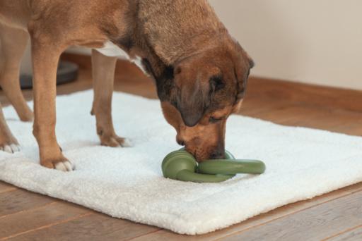 Produktbild Beeztees Sumo Team (Kauspielzeug Hund)