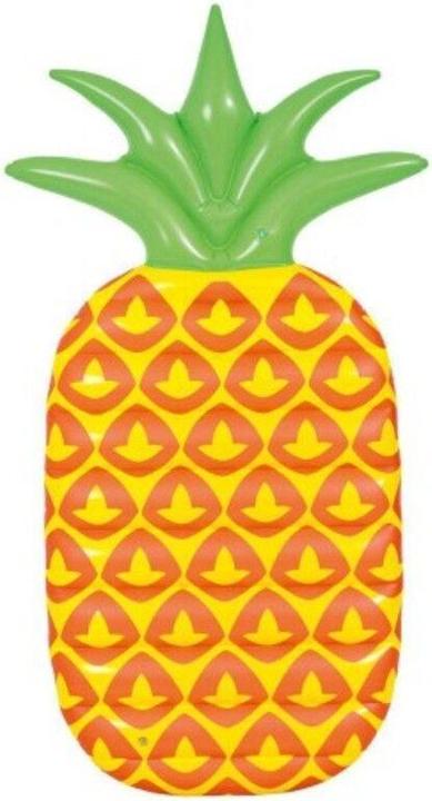 Actual product image Jilong Pineapple