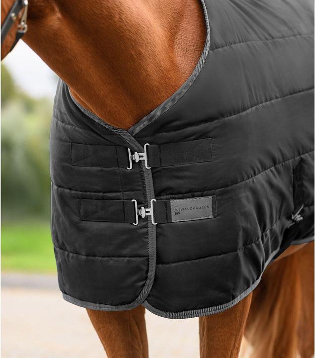 Produktbild Waldhausen Economic 100g (165 cm)