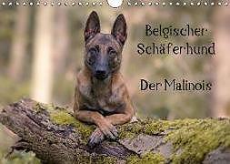 Actual product image Belgian Shepherd Dog - The Malinois (Wall Calendar 2019 DIN A4 landscape)