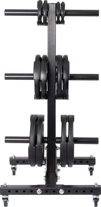 Actual product image Sport-Thieme Hantelscheiben-Ablageständer Mobil