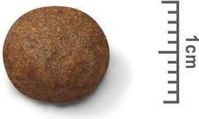 Produktbild Royal Canin Medium Junior (Junior, 1 Stk., 4000 g)