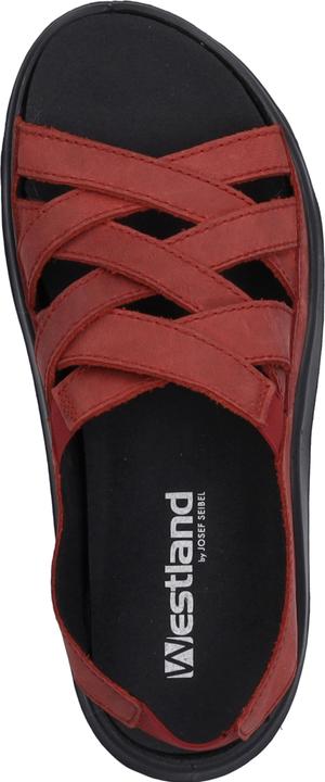 Actual product image Westland 18306-348 (39)