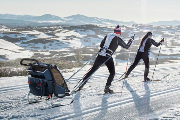 Produktbild Thule Chariot Cross 2