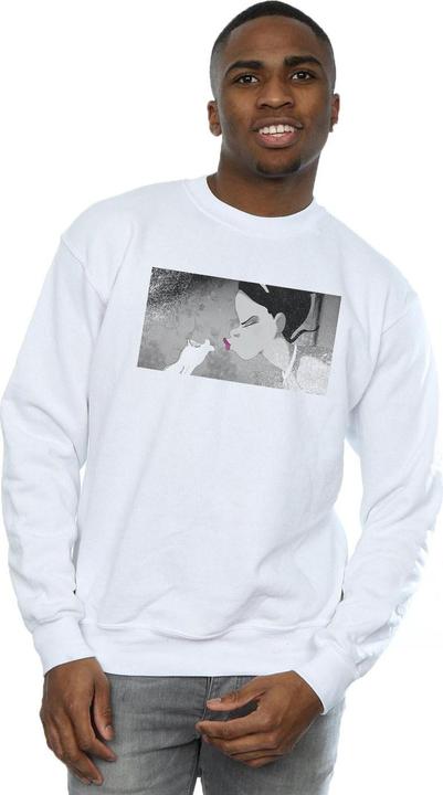 Actual product image Disney Mens The Princess And The Frog Kiss Sweatshirt (M)