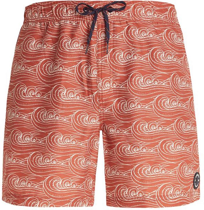 Image du produit Protest Short de plage Prtterton pour hommes (L)