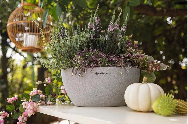 Produktbild Lechuza Cubeto Color (30 x 13.50 cm)