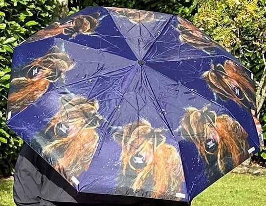 Actual product image NoName Regenschirmkuh