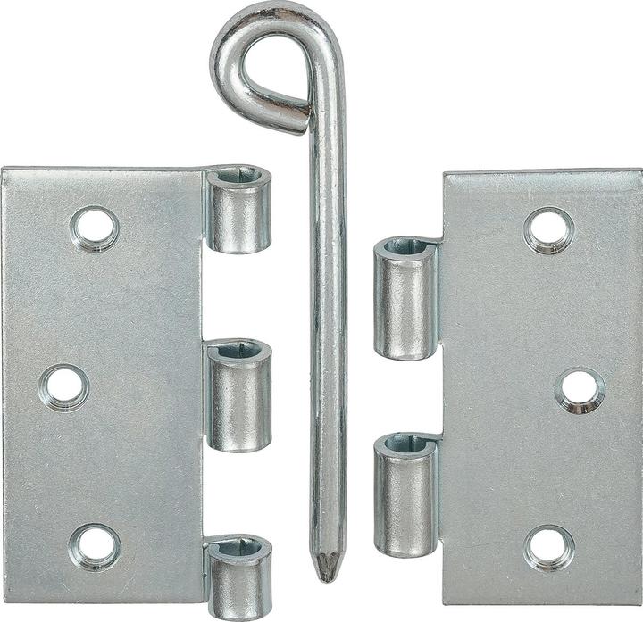 Produktbild Vormann Scharnier H.100mm B.100mm S.2,2mm STA bl ( 3000272158 )