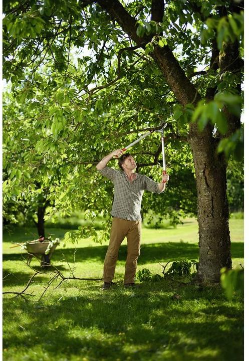 Produktbild Wolf-Garten Astschere