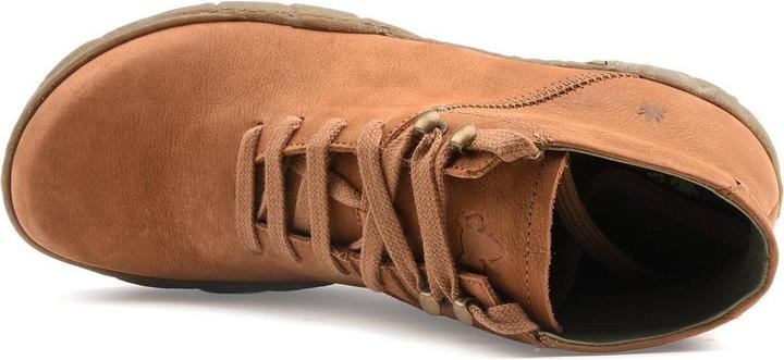 Actual product image El Naturalista N5083 TURTLE (42)