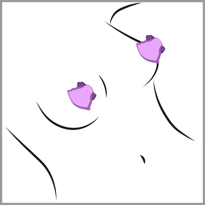 Image du produit Pipedream Nipple Suck-Hers