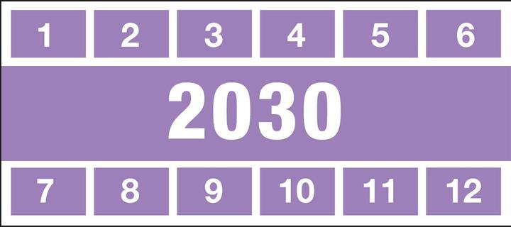 Produktbild Brady DATE INSPECTION LABELS 30 57x25 B-500, Prüfplakette 2030, violett, rechteckig 57 x 25 mm (22