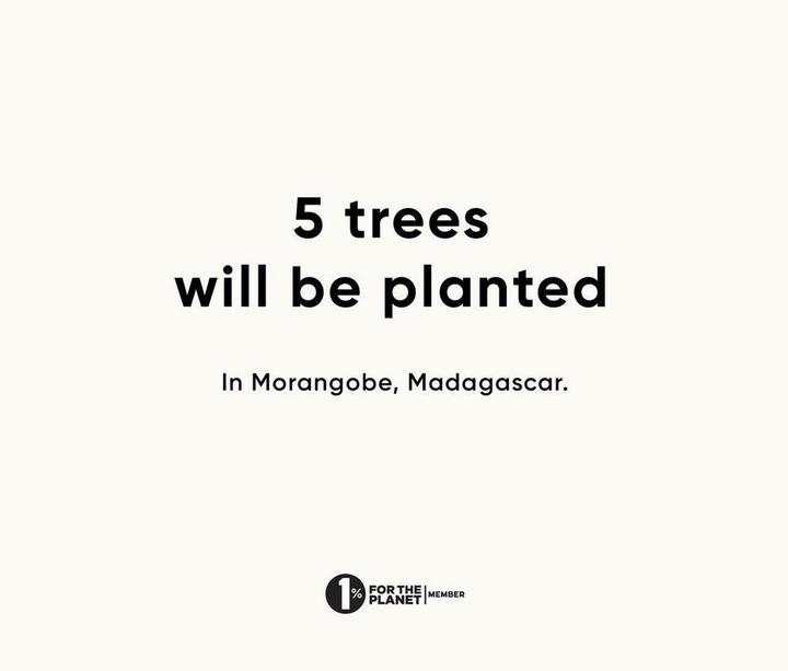 Image du produit Urth 39mm Capsules de filtre magnétique pour objectif (39 mm)