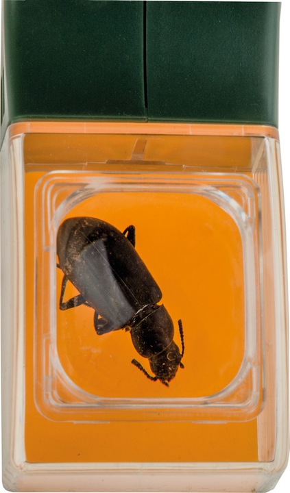 Actual product image Carson HU-10 BugView