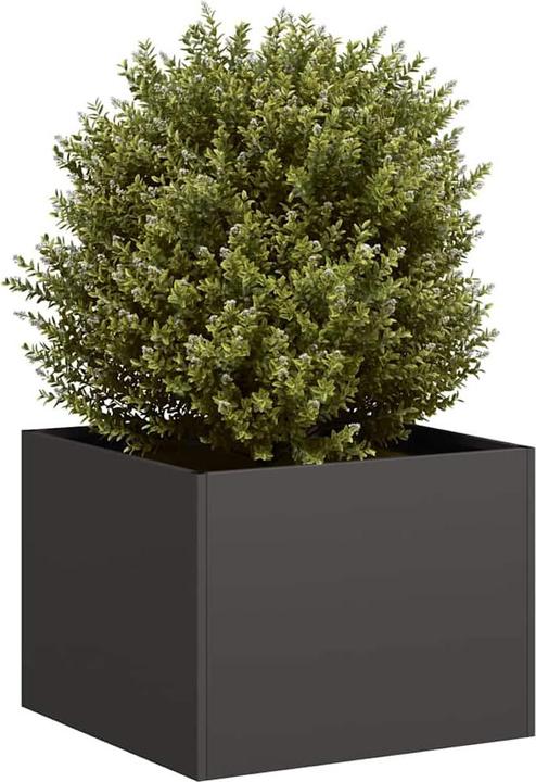Actual product image vidaXL Pflanzkübel
