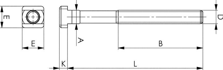 Productafbeelding Amf T-bouten DIN 787 14 M 12 x 100 mm (1 Schroef per stuk, 12 x 100 mm)