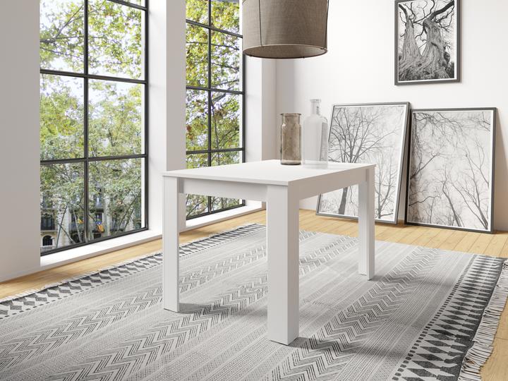 Image du produit ByLiving Nepal (80 x 120 x 75 cm)