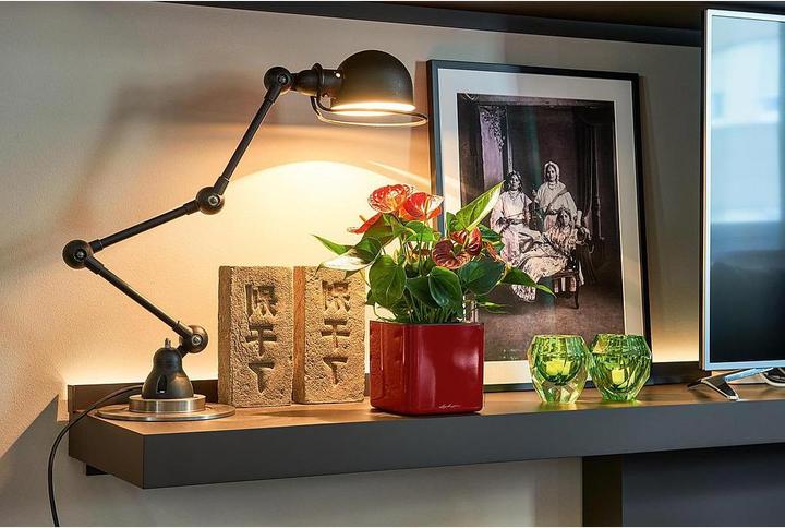 Produktbild Lechuza Cube Glossy 14 (14 x 14 x 14 cm)