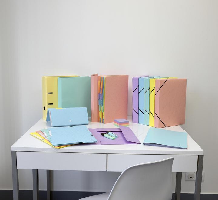 Produktbild Exacompta Sichtmappen (A4, 1x)