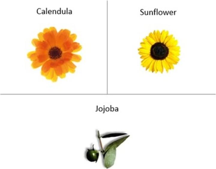 Produktbild The Organic Pharmacy Sheer Glow Liquid Blush 5 ml Red (Red)