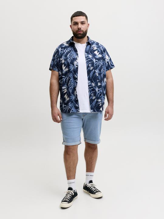 Image du produit Jack & Jones Plus Size Regular Fit Regular Fit Shorts Regular Fit Shorts (48)