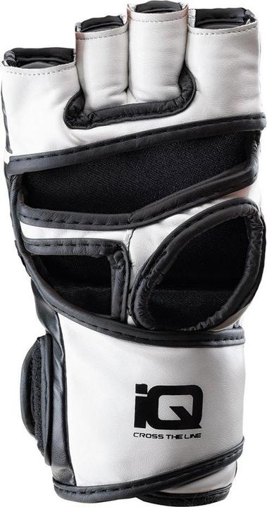 Produktbild IQ KampfsportHandschuhe mit Daumen Marts (M)