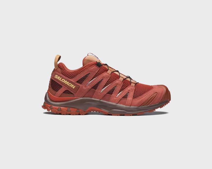 Image du produit Salomon Advanced XA Pro 3D Red Ashes (45 1/3)