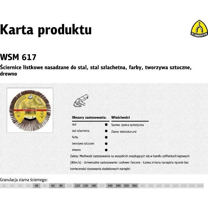 Thumbnail - Klingspor, Schleifmittel, Schleifmoprad WSM 617 120 braun Ø125xB20mm M14 (120)