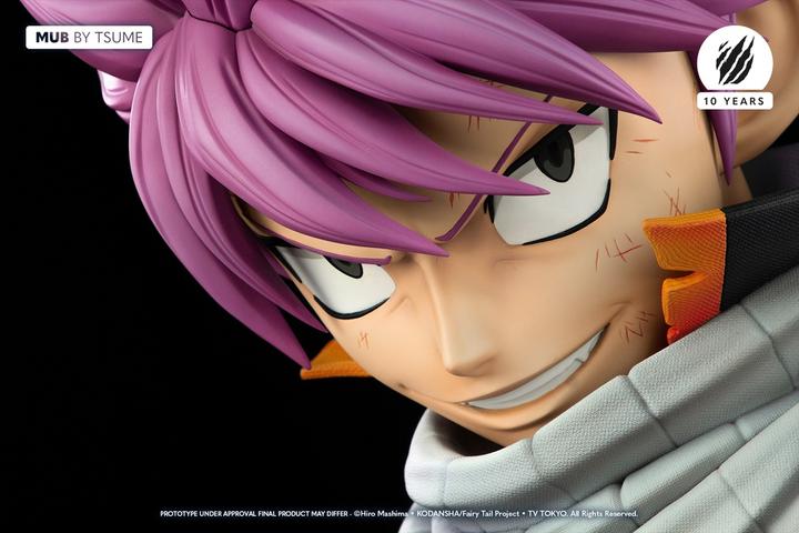 Actual product image Tsume Fairy Tail "Natsu Dragneel" 1/1 bust