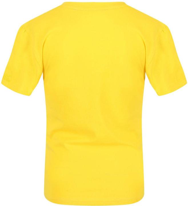 Produktbild Regatta Bosley V Summer Days TShirt (140)