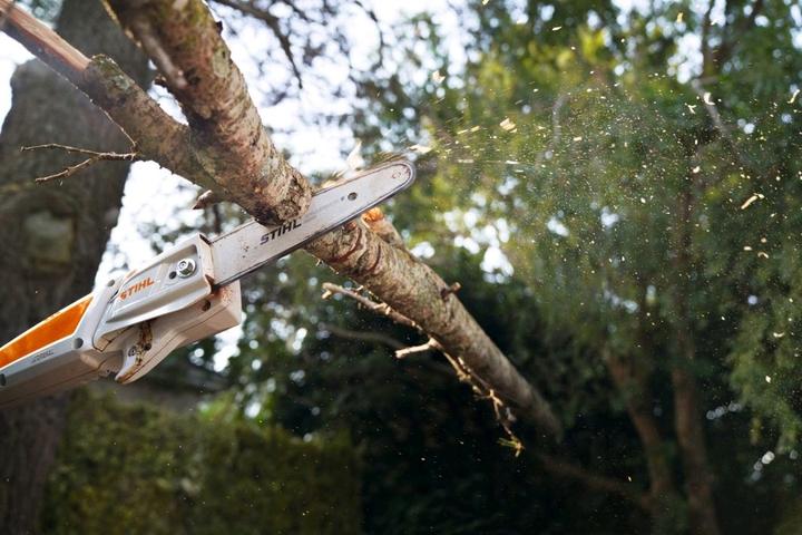 Immagine prodotto Stihl HTA 50 Grundgerät 25 cm / PM3 (Sega a catena a batteria)