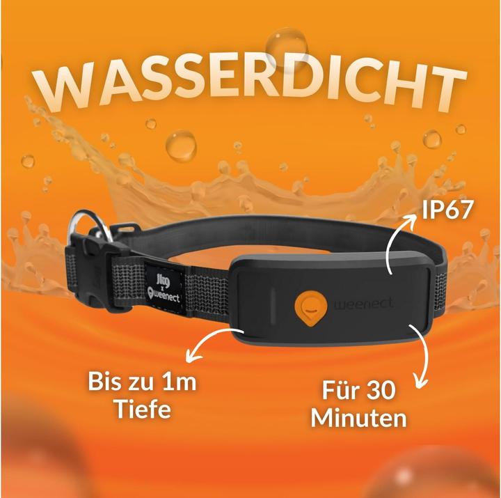 Immagine prodotto Weenect Localizzatore GPS per cani (XL, Cane, Sport cane)