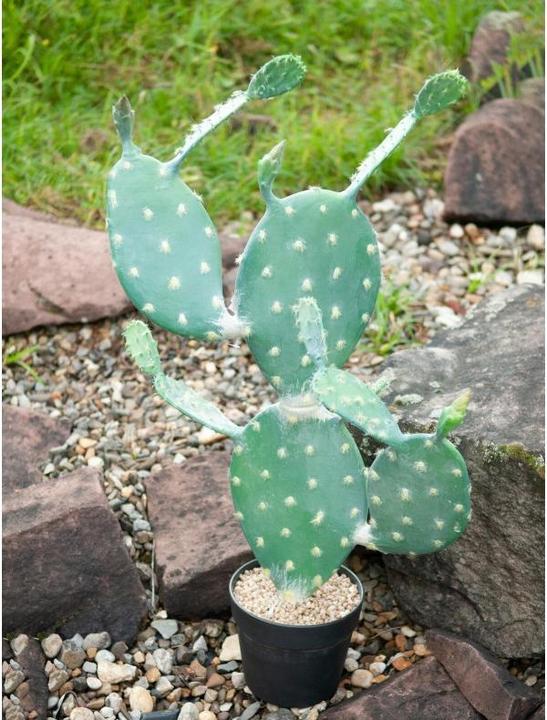 Actual product image Europalms Leaf cactus (76 cm)