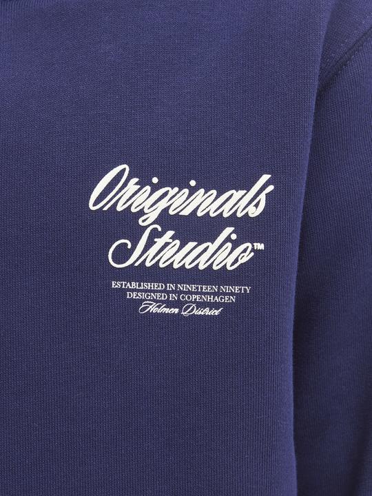 Produktbild Jack & Jones Jornorrebro Typo Back Sweat Hood Sn Jnr (176)