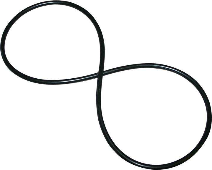 Actual product image SunSun Spare Part HW-304 Head-Gasket Lid 6mm Thickness Ø 265mm External Filter