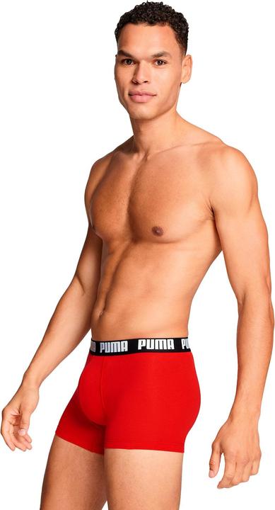 Actual product image Puma Everyday (L, pack of 2)