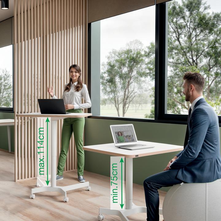 Produktbild Leitz Ergo Compact Workstation Höhenverstellbarer Schreibtisch (80 x 60 x 75 cm)