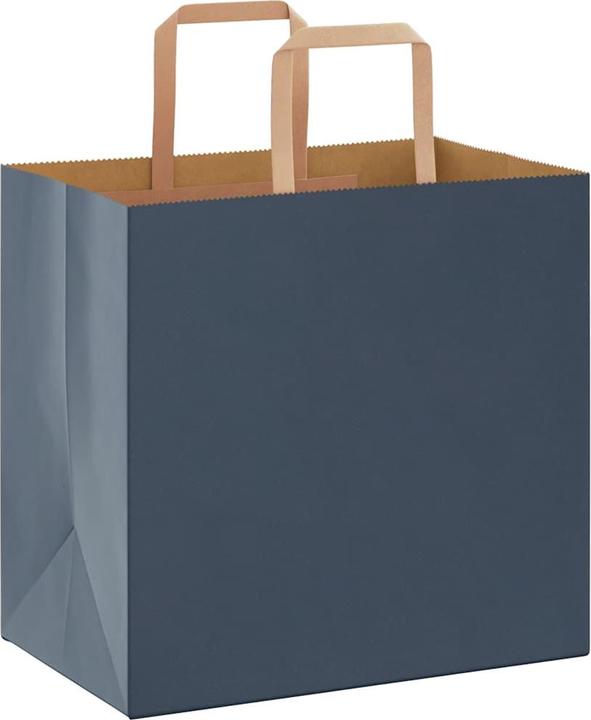 Image du produit VidaXL Sacs en papier kraft 250 pcs. avec anse bleu 26x17x25 cm Sac en papier (Pochette cadeau, 250 x)