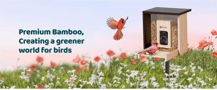 Produktbild Birdfy Futterspender FSC Bambus Mini Solar