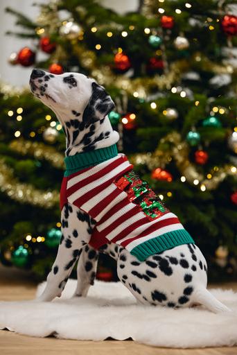 Produktbild Beeztees Hohoho (M, Hundepullover)